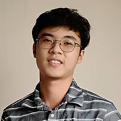 Next JS Node JS Vietnamese Software Developer