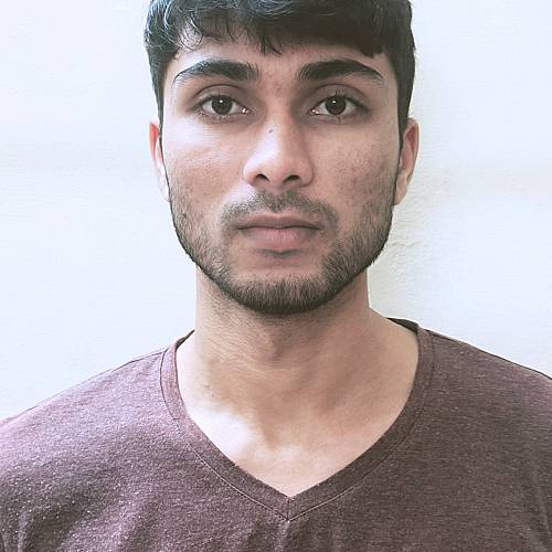 Remote Software Developer Noida, India
