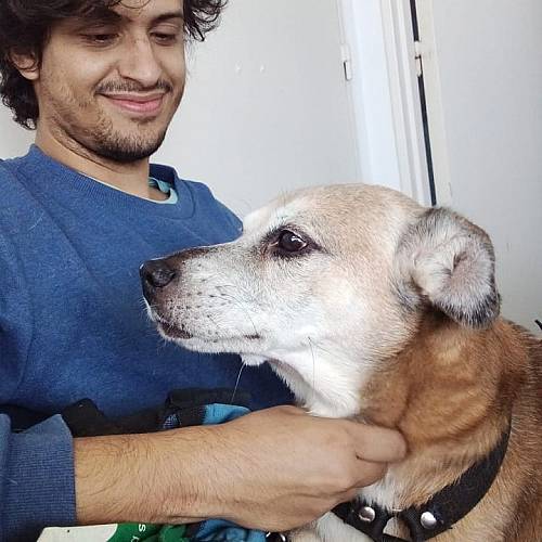 Remote Fullstack developer Ciudad Autonoma de Buenos Aires, Argentina Republic