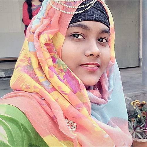 Remote Junior front end developer Pirojpur town, Bangladesh