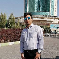 C++ Website/Game Developer